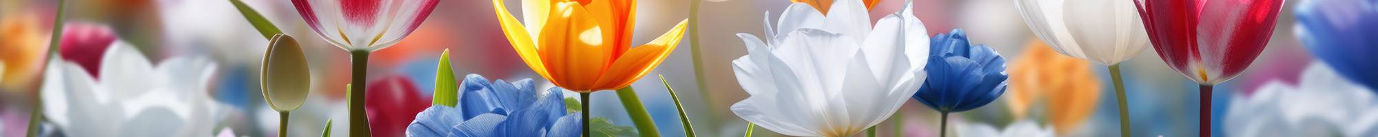 Bridal robe gift idea