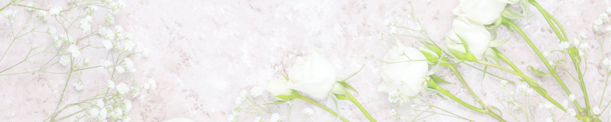 Close-up of delicate white flowers with green stems on a light background