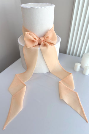 White cake with a peach-colored ribbon bow on a light gray surface.