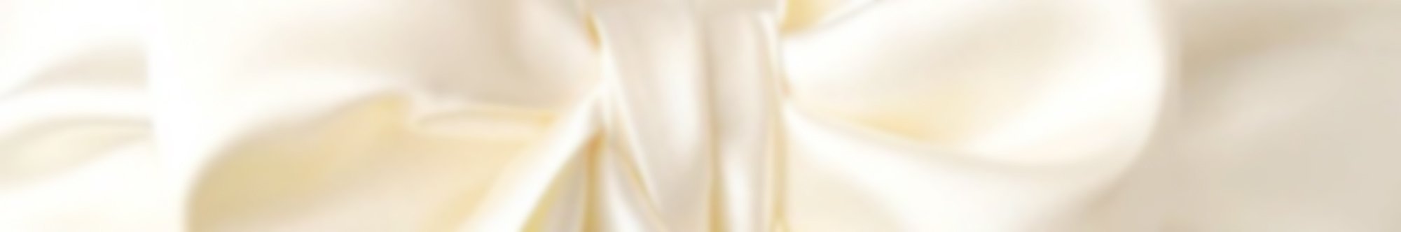 Satin Belts - Luxe Bridal Look