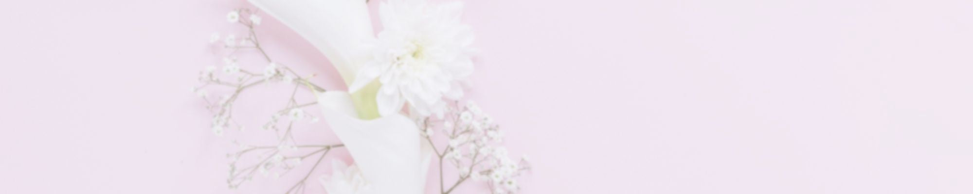 Sexy crotchless thong panties