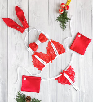 Rabbit Ears Lingerie Accessories