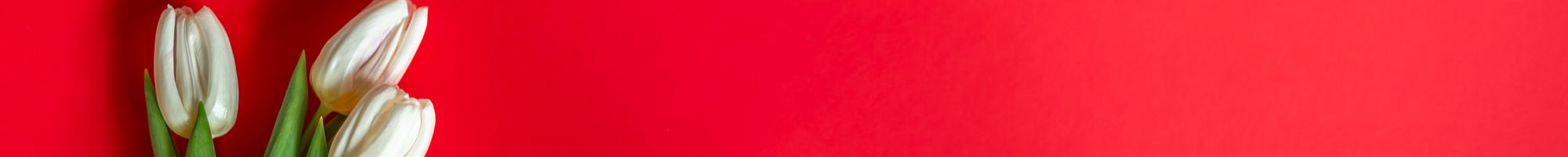 Mother's Day gift idea - robe, peignoir, loungewear